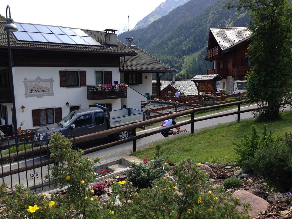 Chalet Bucaneve Santa Caterina Valfurva Εξωτερικό φωτογραφία